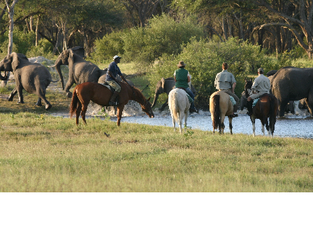 Ride Zimbabwe Hwange Safari 